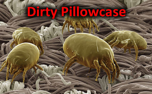 Dust mites can move from room to room using your air conditiong ducts